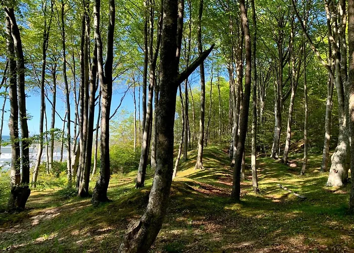 Gaja